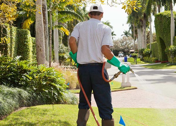 About Ikes Fork WV Pest Control Pros